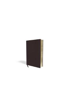 Amplified Bible-Am-Large Print: Captures the Full Meaning Behind the Original Greek and Hebrew - Zondervan