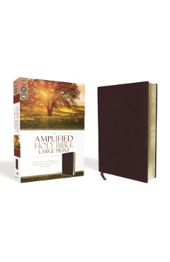 Amplified Bible-Am-Large Print: Captures the Full Meaning Behind the Original Greek and Hebrew - Zondervan