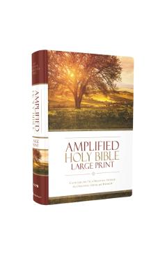 Amplified Bible-Am-Large Print: Captures the Full Meaning Behind the Original Greek and Hebrew - Zondervan