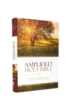 Amplified Bible-Am: Captures the Full Meaning Behind the Original Greek and Hebrew - Zondervan