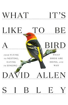 What It\'s Like to Be a Bird: From Flying to Nesting, Eating to Singing--What Birds Are Doing, and Why - David Allen Sibley