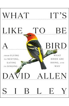 What It's Like to Be a Bird: From Flying to Nesting, Eating to Singing--What Birds Are Doing, and Why - David Allen Sibley