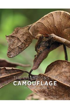 The Champions of Camouflage - Jean-philippe Noel