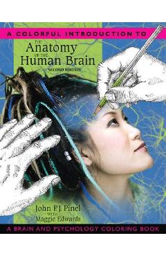 A Colorful Introduction to the Anatomy of the Human Brain: A Brain and Psychology Coloring Book - John P. J. Pinel