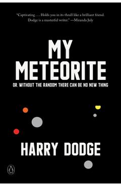 My Meteorite: Or, Without the Random There Can Be No New Thing - Harry Dodge
