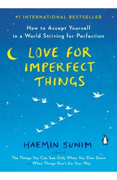 Love for Imperfect Things: How to Accept Yourself in a World Striving for Perfection