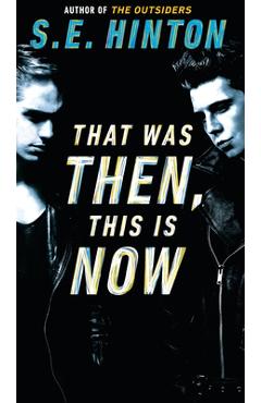 That Was Then, This is Now - S. E. Hinton