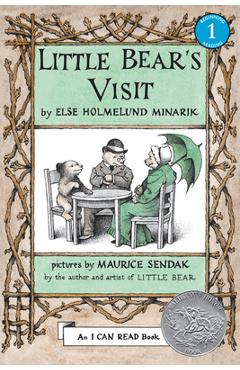 Little Bear's Visit