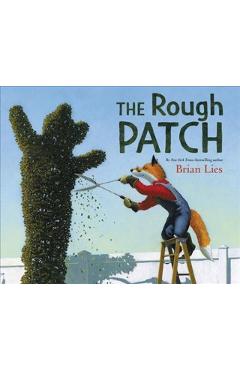 The Rough Patch - Brian Lies