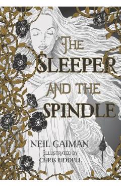 The Sleeper and the Spindle - Neil Gaiman
