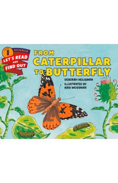 From Caterpillar to Butterfly - Deborah Heiligman