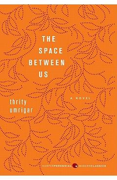 The Space Between Us - Thrity Umrigar