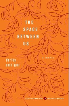 The Space Between Us - Thrity Umrigar