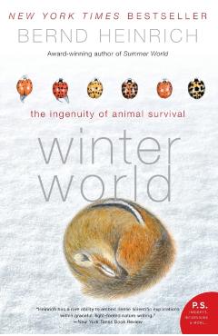Winter World: The Ingenuity of Animal Survival - Bernd Heinrich