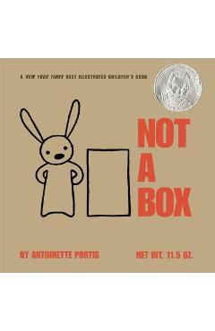 Not a Box - Antoinette Portis