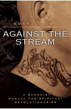 Against the Stream: A Buddhist Manual for Spiritual Revolutionaries - Noah Levine