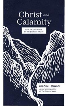 Christ and Calamity: Grace and Gratitude in the Darkest Valley - Harold Senkbeil
