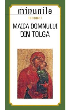 Minunile icoanei. Maica Domnului din Tolga - SOPHIA