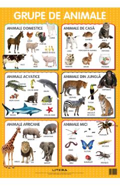 Animale. Plansa educationala - LITERA
