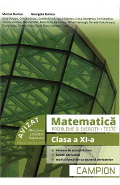 Matematica. Probleme si exercitii. Teste - Clasa 11 - Marius Burtea, Georgeta Burtea
