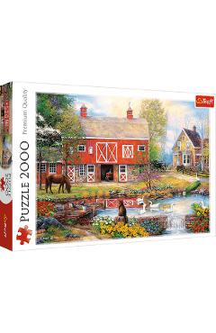 Puzzle 2000. Viata la tara