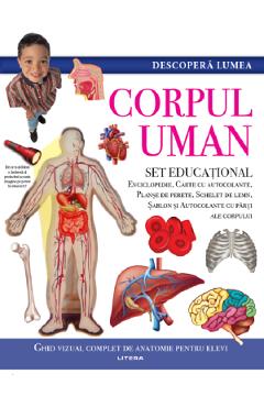 Descopera lumea. Corpul uman