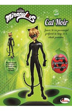 Eu sunt Cat Noir