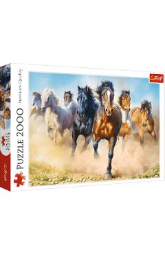 Puzzle 2000. Herghelie de cai galopand