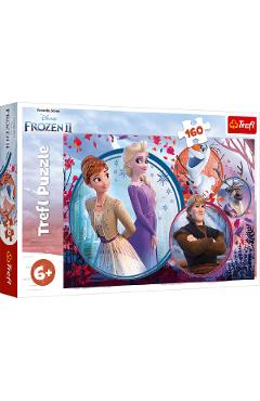 Puzzle 160. Universul Frozen 2