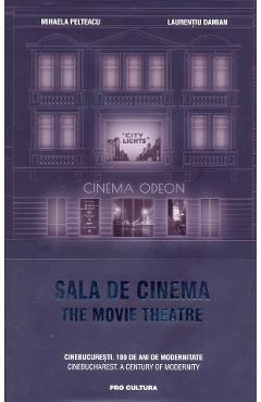 Sala de cinema. The movie theatre – Mihaela Pelteacu, Laurentiu Damian arhitectura