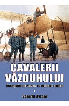 Cavalerii vazduhului - Valeriu Avram