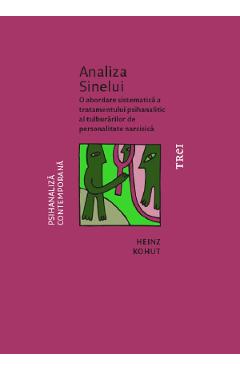 Analiza sinelui - Heinz Kohut - TREI