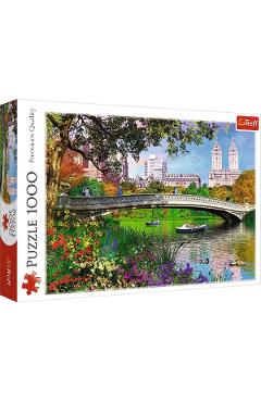 Puzzle 1000. Central Park, New York