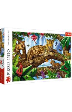 Puzzle 1500. Jaguar intr-o pauza odihnitoare