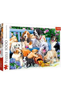 Puzzle 1000. Caini in gradina