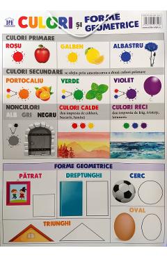 Plansa culori si forme geometrice - DIDACTICA PUBLISHING HOUSE