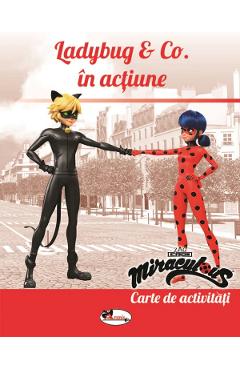 Ladybug and Co in actiune. Carte de activitati - ARAMIS