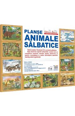 Animale salbatice. Set 10 planse