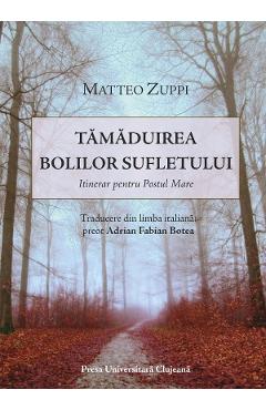 Tamaduirea bolilor sufletului - Matteo Zuppi - PRESA UNIVERSITARA CLUJEANA