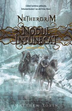 Nodul intunecat. Seria Nethergrim. Vol.3 - Matthew Jobin