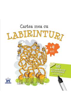 Cartea mea cu labirinturi. 46 de labirinturi refolosibile + o carioca 4 ani+