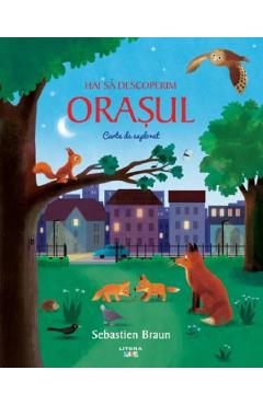 Hai sa descoperim orasul. Carte de explorat - Sebastien Braun
