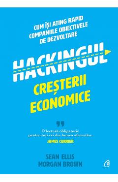 Hackingul cresterii economice - Sean Ellis, Morgan Brown