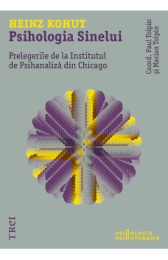 eBook Psihologia Sinelui. Prelegerile de la Institutul de Psihanaliza din Chicago - Heinz Kohut, Marian Tolpin, Paul Tolpin