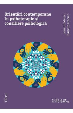 eBook Orientari moderne in psihoterapie si consiliere psihologica - Irina Holdevici, Barbara Craciun