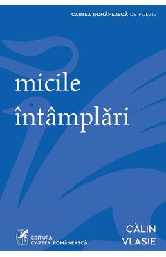 Micile intamplari - Calin Vlasie