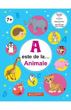 A este de la ... Animale +7ani - PARALELA 45