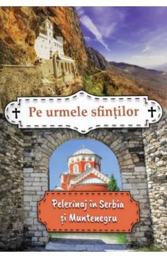Pe urmele sfintilor. Pelerinaj in Serbia si Muntenegru - Miroslav Petras - AGATON