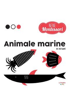 Bebe Montessori. Animale marine (0-12 luni)