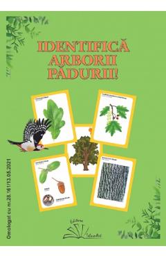 Identifica arborii padurii